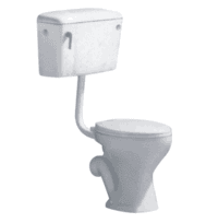 F-204 High quality Africa washdown ceramic two-piece toilet watermark cheap price toilet F-204